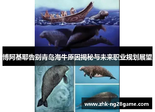 博阿基耶告别青岛海牛原因揭秘与未来职业规划展望
