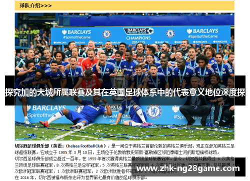 探究加的夫城所属联赛及其在英国足球体系中的代表意义地位深度探