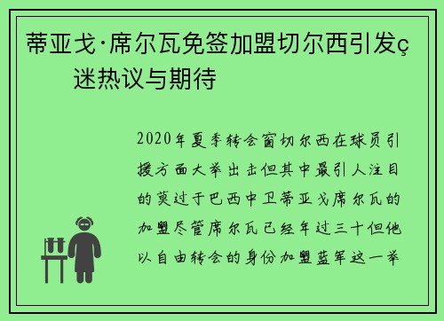 蒂亚戈·席尔瓦免签加盟切尔西引发球迷热议与期待